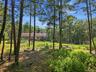 Area woods