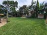 Expansive backyard featuring a natural grass lawn, mature palm trees, flagstone patio, and perimeter wood fencing
