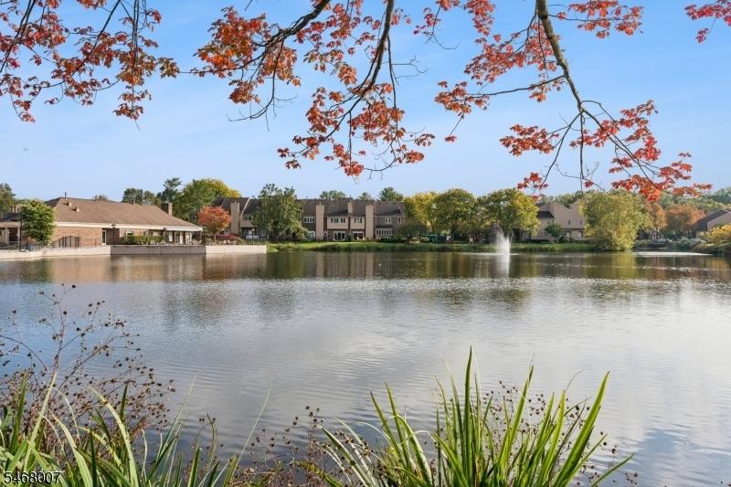 Pond