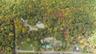 Aerial 9.8 acres