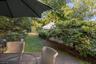 Patio and Backyard