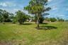 Expansive lot featuring mature pine trees, established tropical foliage, and grass lawn