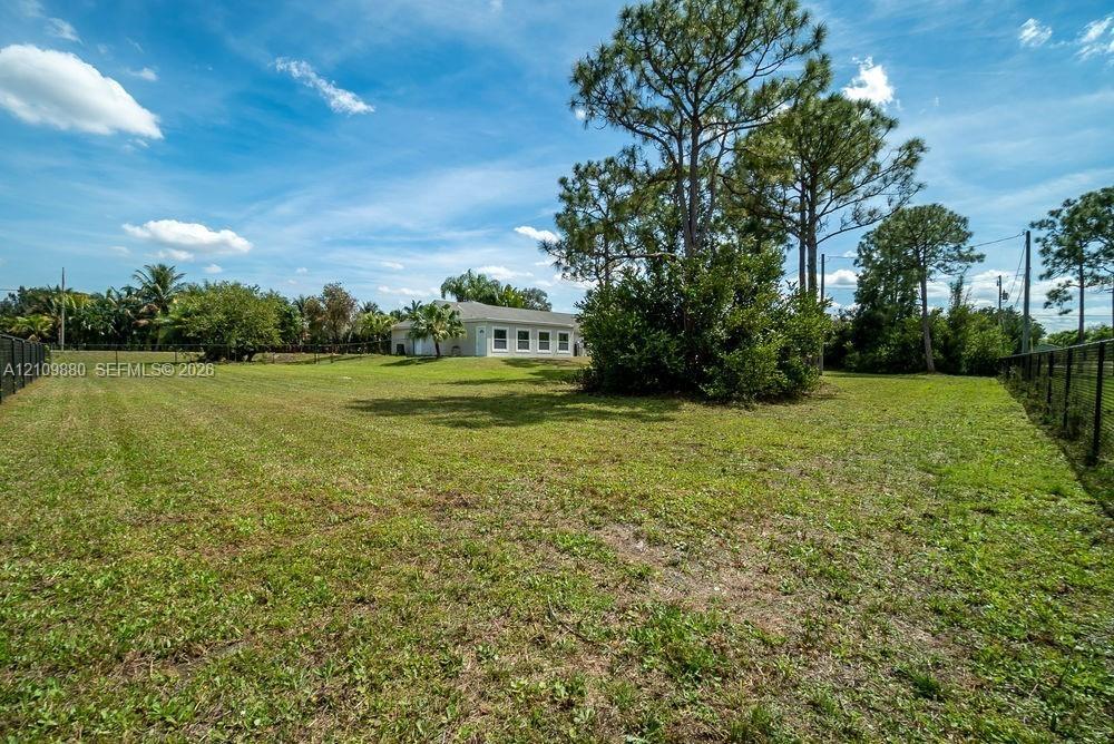 Expansive backyard featuring a large grass lawn, mature pine trees, perimeter fencing, and exterior landscape foliage