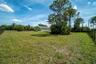 Expansive backyard featuring a large grass lawn, mature pine trees, perimeter fencing, and exterior landscape foliage