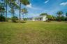 Expansive backyard featuring a sprawling lawn, mature pine trees, palm landscaping, and an exterior with an enclosed porch area