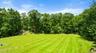 View of lush backyard