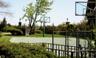Outdoor basketball court.