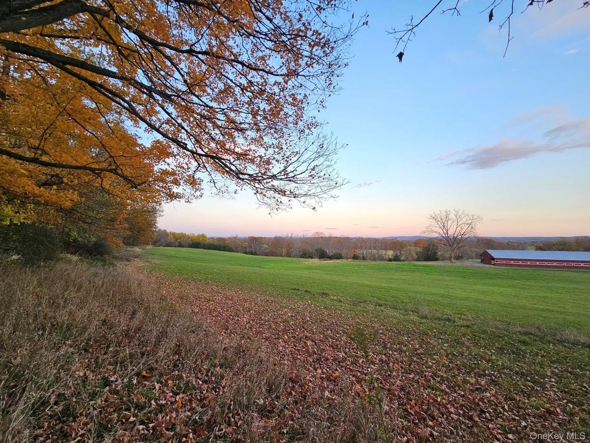 Side Field