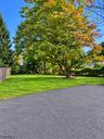 Great backyard