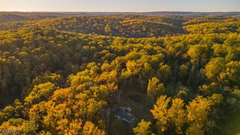 Drone shot