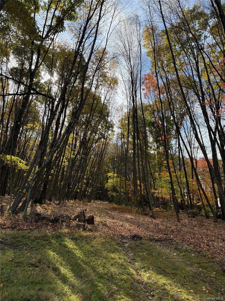 Enjoy your own private hiking trail!!