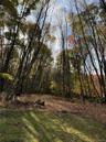 Enjoy your own private hiking trail!!