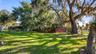 Beautiful Oak in backyard/lakefront