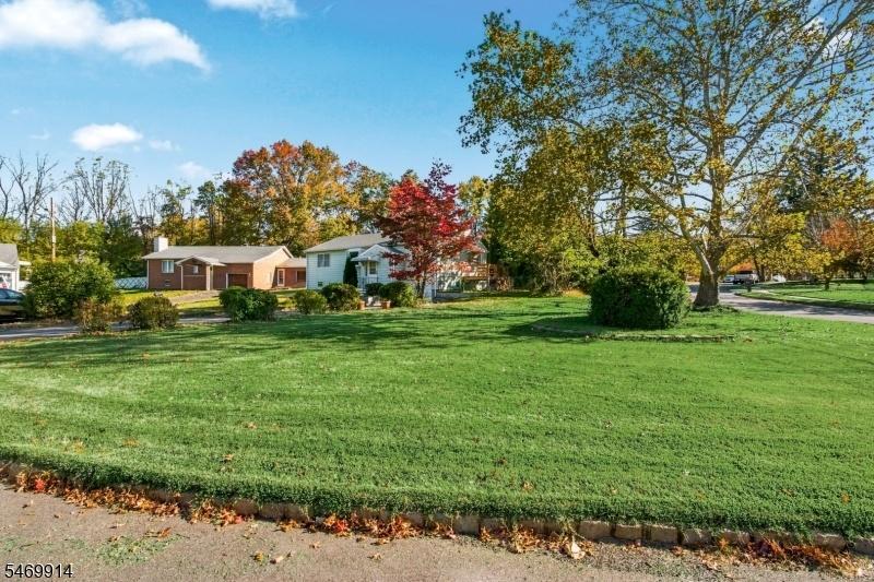 Front Lawn