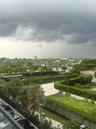 Exterior grounds featuring manicured hedges, mature palm trees, paved walkways, and a fenced recreation area