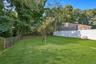 Park-like Backyard