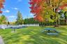 Expansive backyard featuring a level lawn, mature trees, white picket fencing, and perimeter evergreen hedges