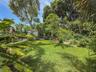 Expansive backyard featuring a lush grass lawn, mature trees, and dense tropical foliage