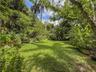 Expansive backyard featuring a lush grass lawn, diverse mature trees, and dense tropical landscaping