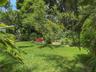 Expansive backyard featuring a lush lawn, mature trees, dense greenery, and a gravel garden area