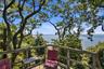 View from perch overlooking LI Sound