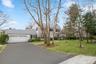 Street view - lush greenery