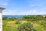 Peaceful preserve view