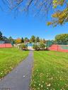 Scenic Walking Trails