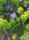 Aerial View of Property