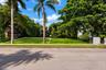 Level lot featuring grass cover, palm trees, and mature canopy trees
