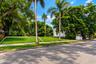 Cleared residential lot featuring manicured lawn, established palm trees, and mature shade trees