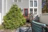 Backyard Patio