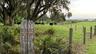 Sixteen-acre parcel featuring mature oak trees, open pastureland, and perimeter wire fencing