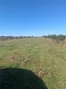 Expansive parcel of open grassland bordered by mature trees and natural vegetation