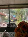 Screened-in porch featuring a concrete patio and expansive exterior grounds with mature oak trees