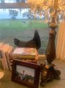 Large windowed opening with stone-finish flooring and expansive exterior pasture exposure