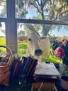 Expansive window with multi-pane configuration, overlooking a rural landscape featuring mature trees and open pasture