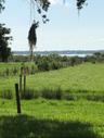 Open pasture land featuring mature trees, post-and-wire fencing, and water frontage