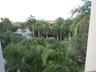Expansive grounds featuring mature palm trees, winding paved pathways, and lush landscaping