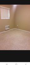 Wall-to-wall carpeting, neutral wall color, and window with white horizontal blinds