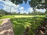 Expansive grounds featuring a private putting green, paver walkway, manicured lawn, and mature canopy trees