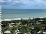 Oceanfront panorama featuring an expansive coastline, mature palm trees, dense coastal vegetation, and a private swimming pool