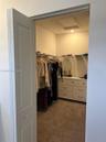 Walk-in closet featuring carpeted flooring, built-in wire shelving, and a white multi-drawer storage unit