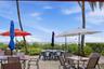 Sandy beachfront patio featuring mature palm trees, native coastal vegetation, and direct access to the oceanfront