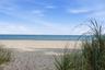 Sandy beachfront featuring native grasses and direct access to the ocean