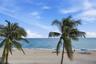 Sandy beachfront featuring mature palm trees and direct ocean access
