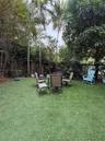 Enclosed backyard featuring synthetic turf, mature palm trees, established foliage, and perimeter fencing