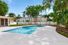 In-ground swimming pool featuring a textured concrete deck, privacy wall, manicured lawn, and mature palm trees
