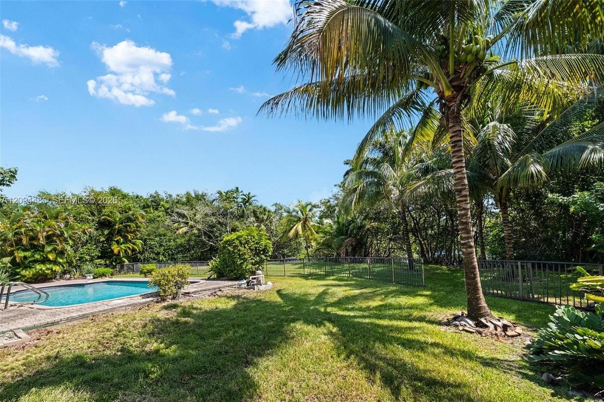 Backyard featuring an in-ground swimming pool, concrete pool deck, mature palm trees, perimeter fencing, and expansive green space