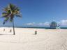 Sandy beach frontage featuring white sand, palm tree, and turquoise ocean water